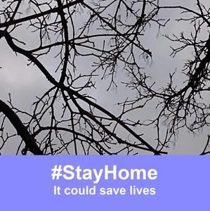 Meet your Posher, Rose